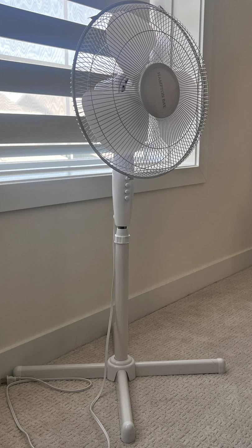 Hampton Bay Pedestal Fan