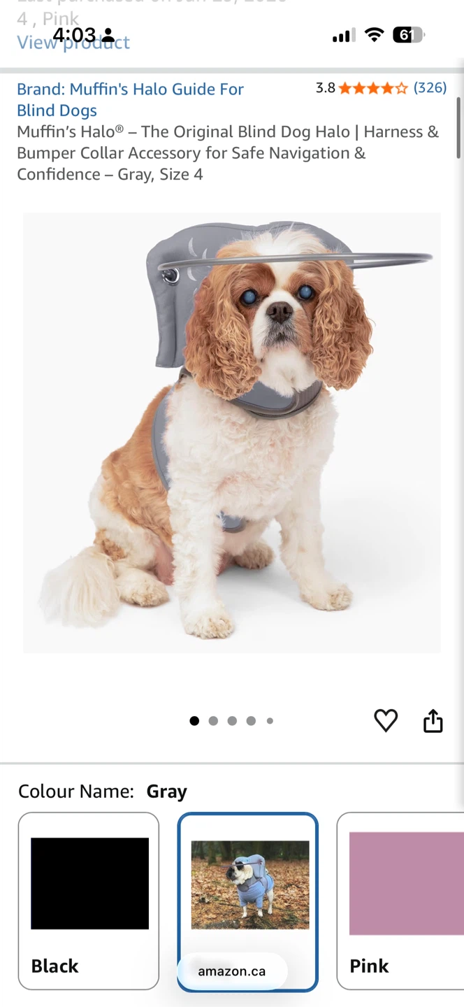 For small blind dogs: Muffin's Halo dog harness, size 4