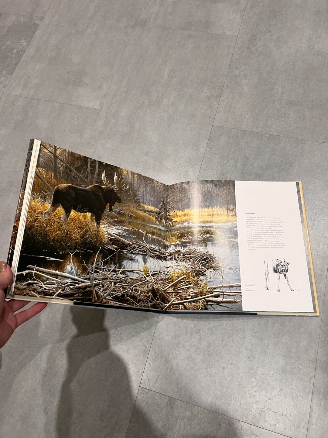 The Art of Robert Bateman 25th Anniversary Edition - photo 3