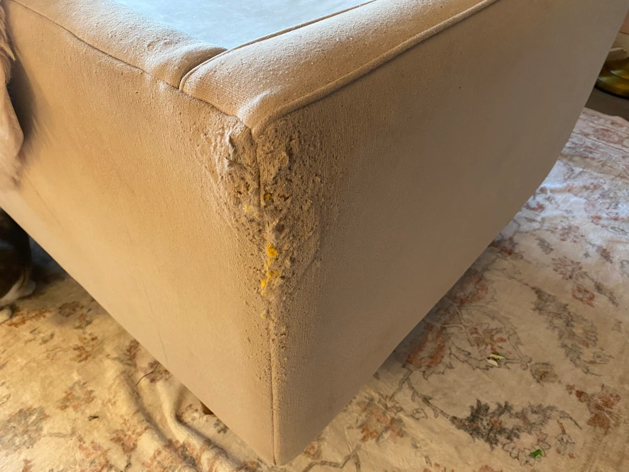 Soft Pink Velvet Chaise - photo 5