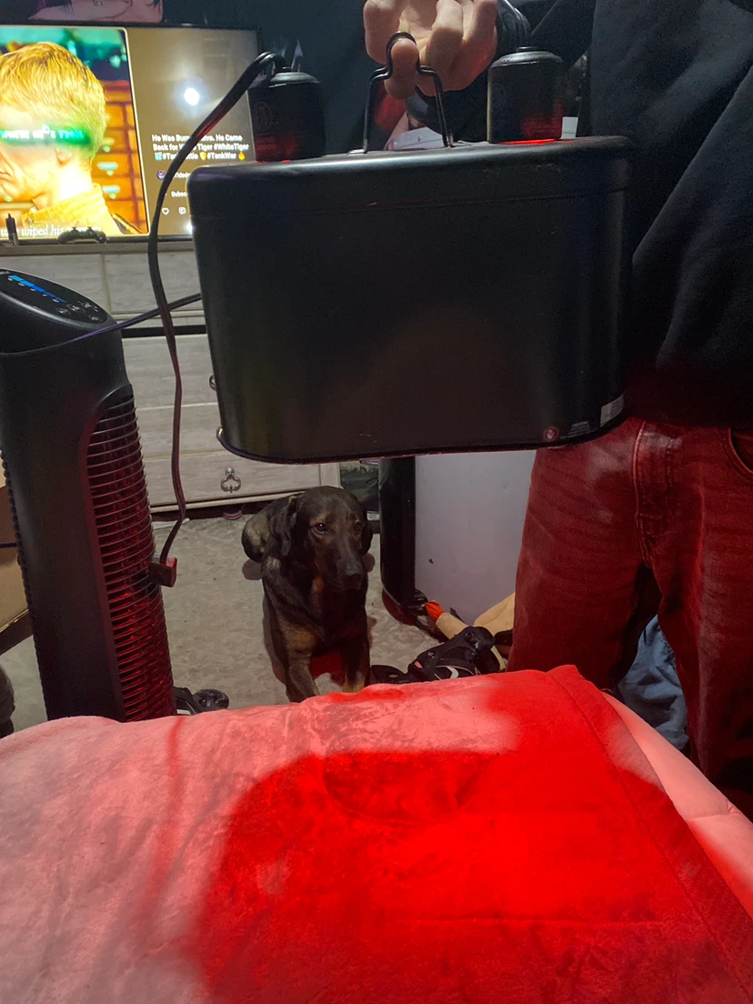 Dual Heat Lamp Fixture for pets