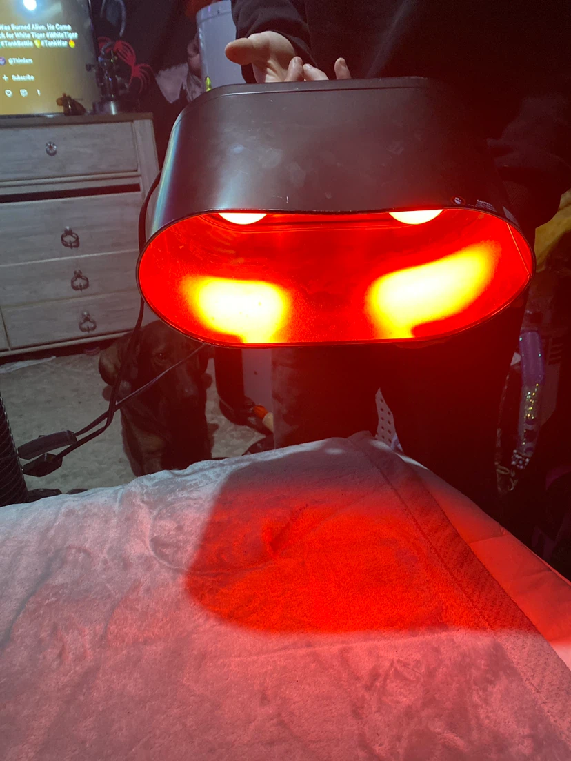 Dual Heat Lamp Fixture for pets - photo 2