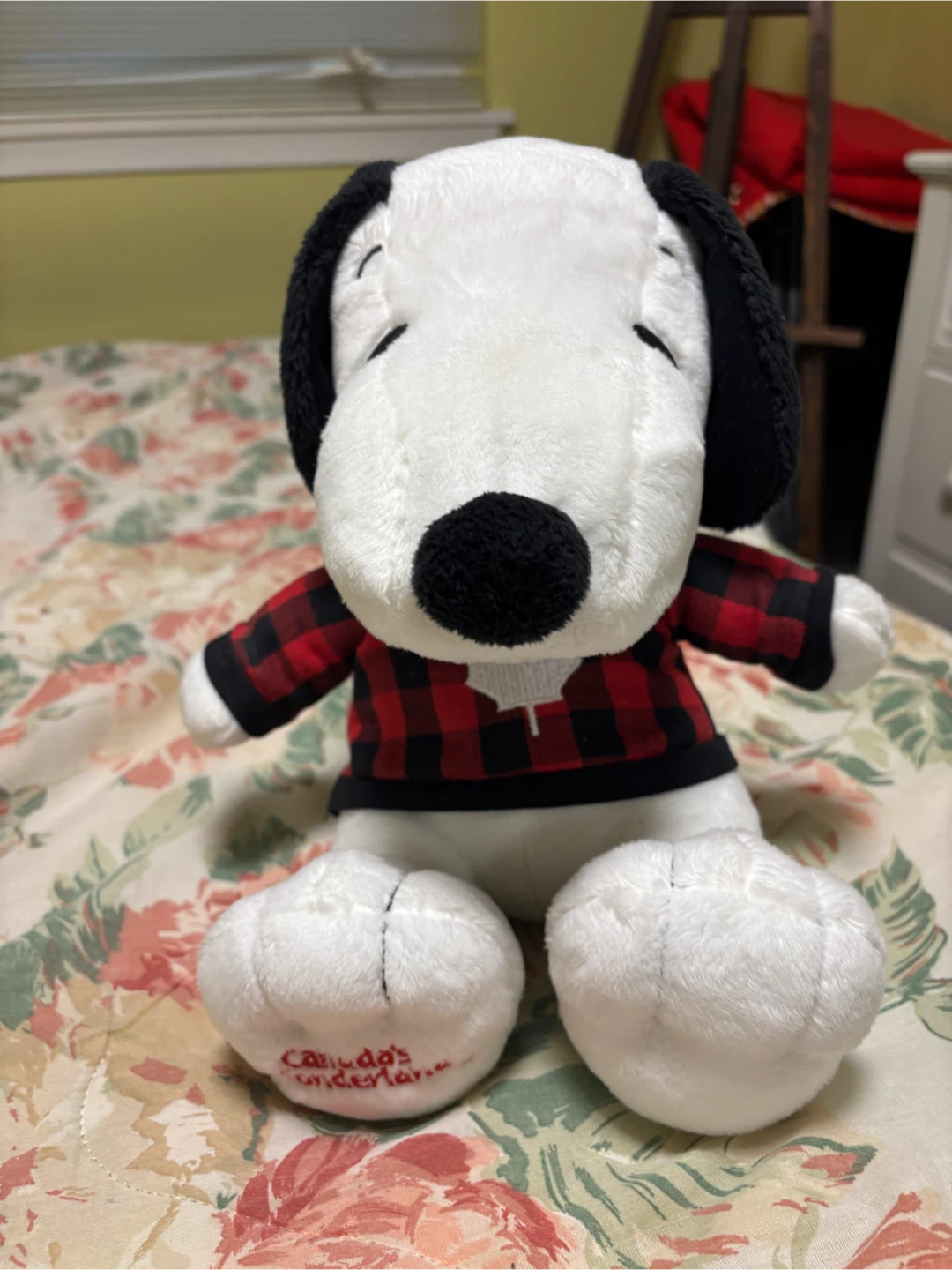 Canada's Wonderland Snoopy Plush