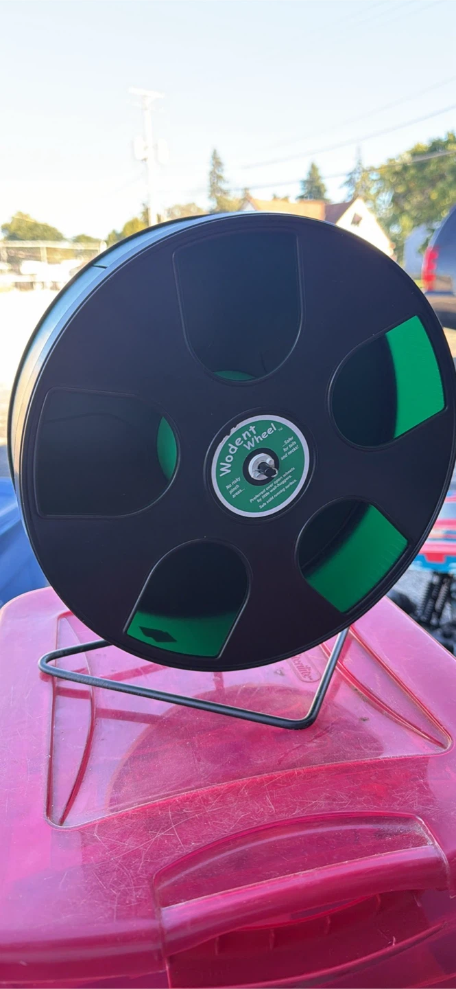 Wodent Wheel for Small Pets