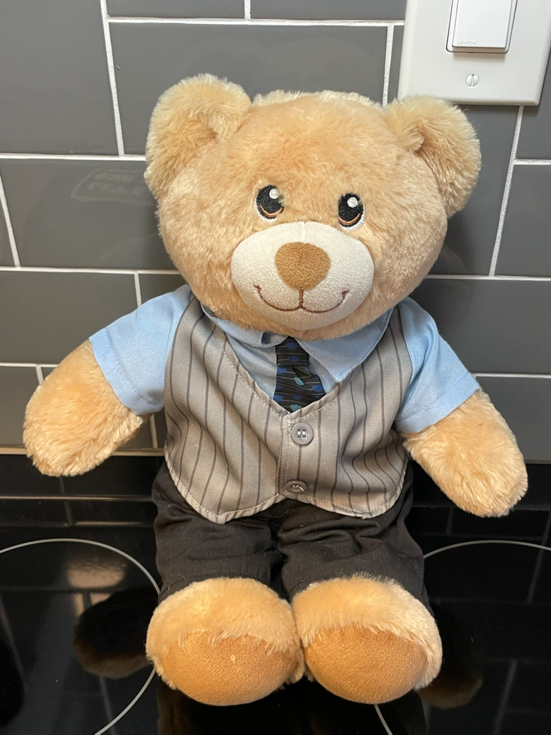 Build-a-Bear Teddy Bear (with outfit)