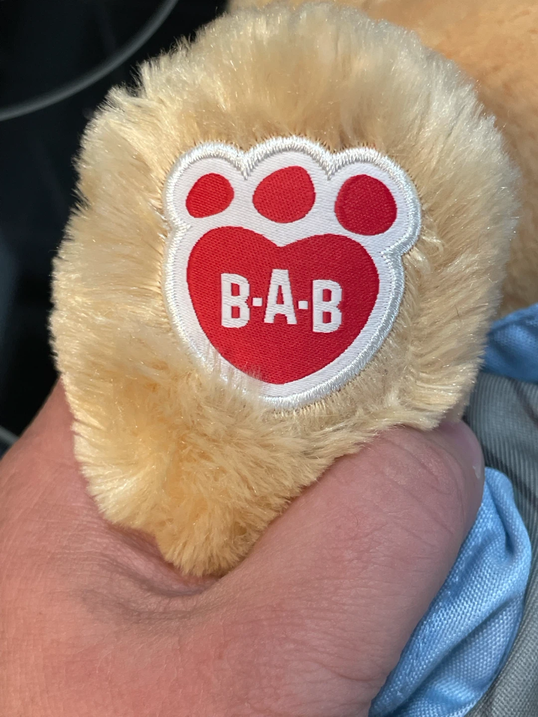 Build-a-Bear Teddy Bear (with outfit) - photo 3