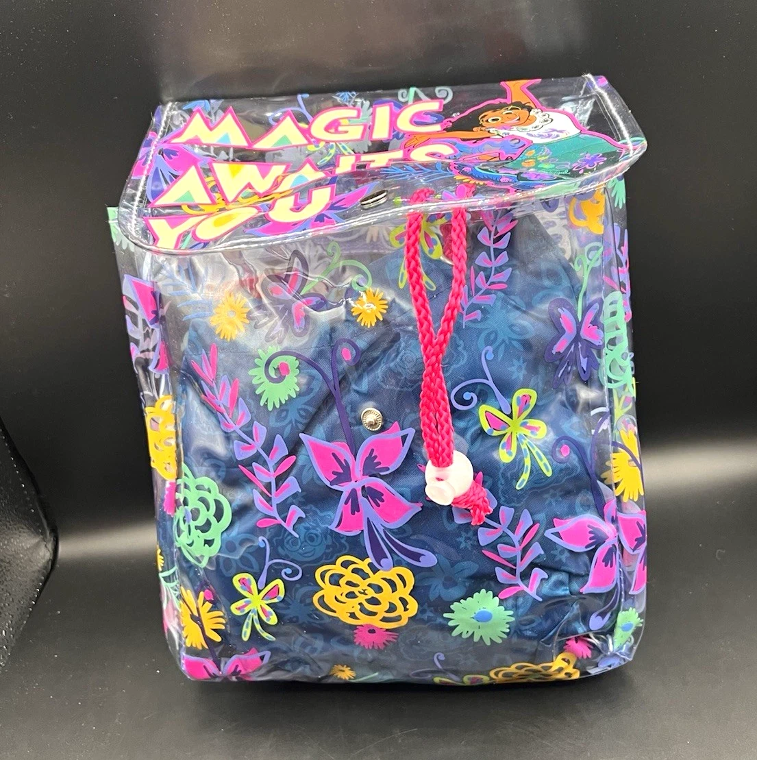Disney Encanto Clear Backpack