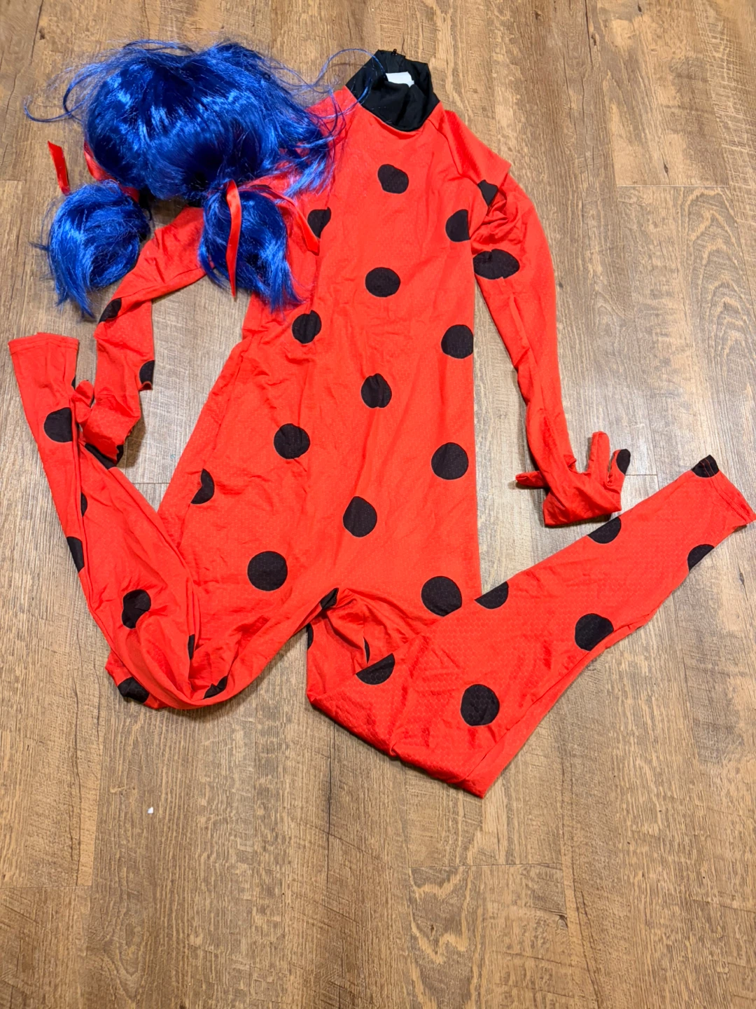 Ladybug Costume with Blue Wig