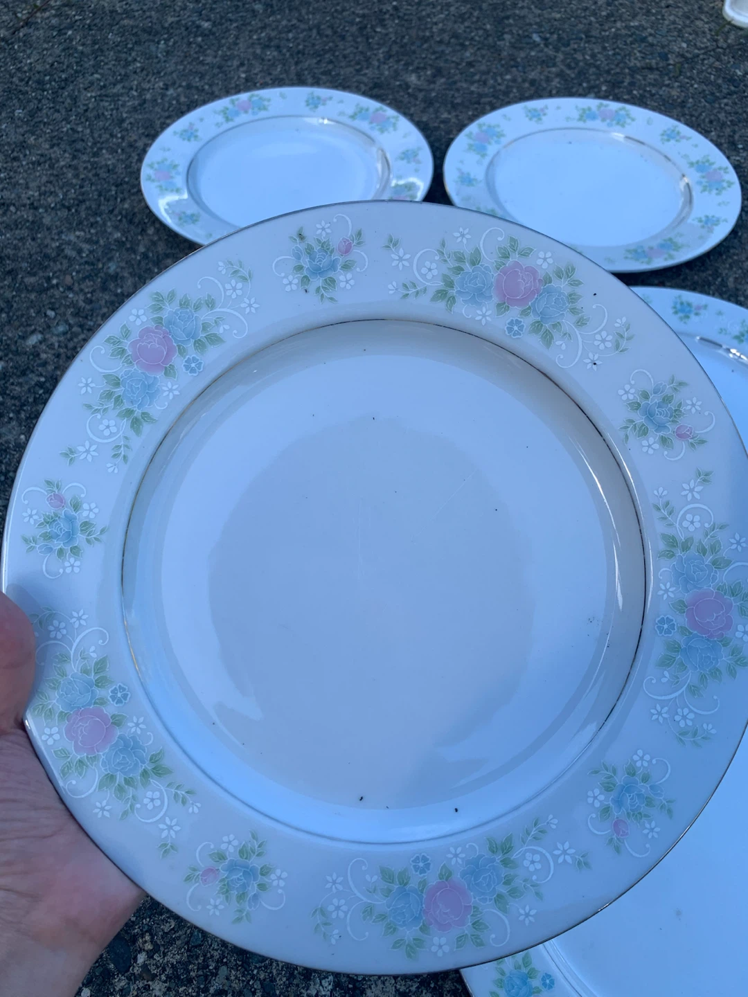 Set of 6 Floral Dinner Plates