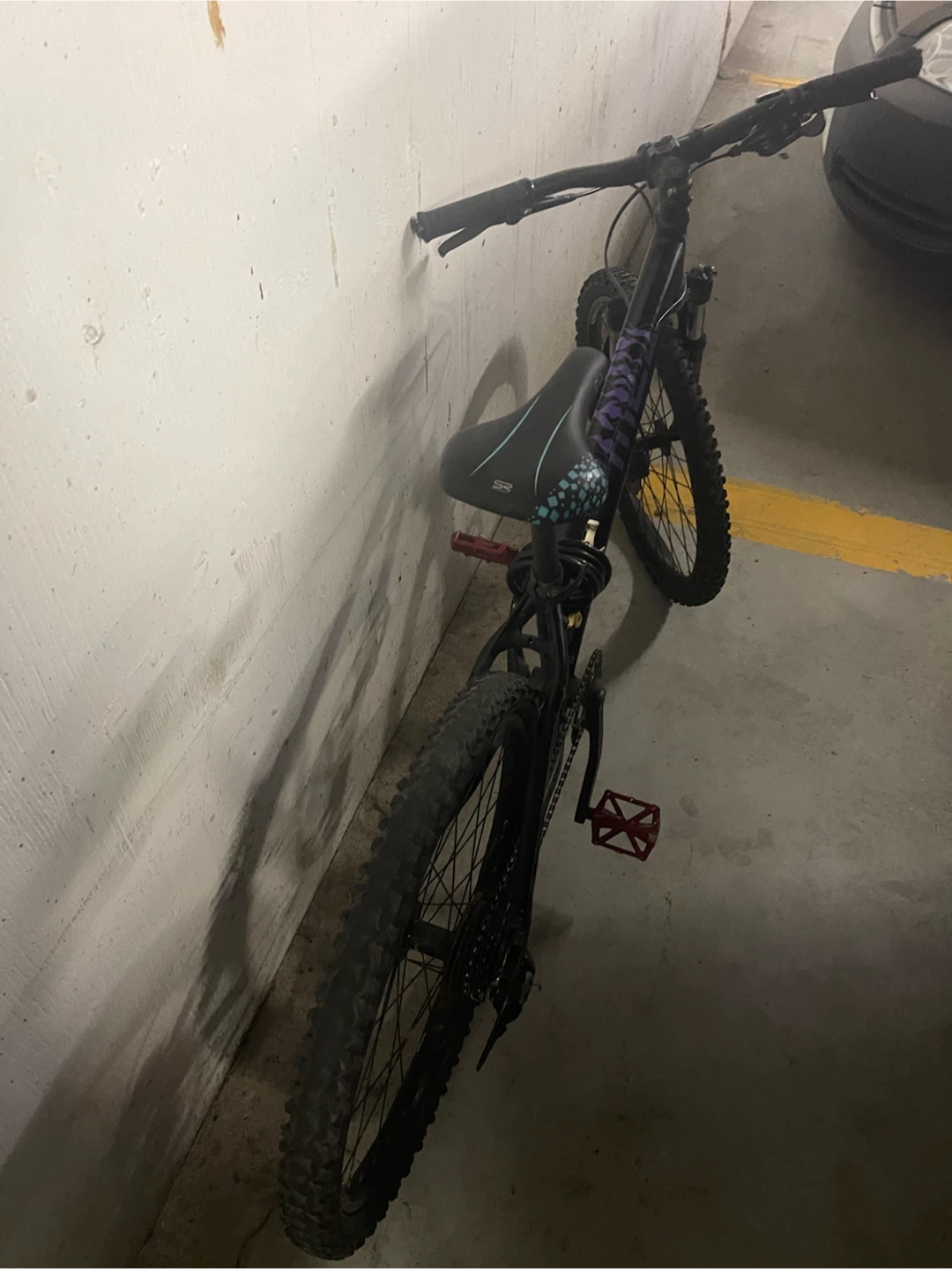 Mountain Bike with RST Capa Suspension