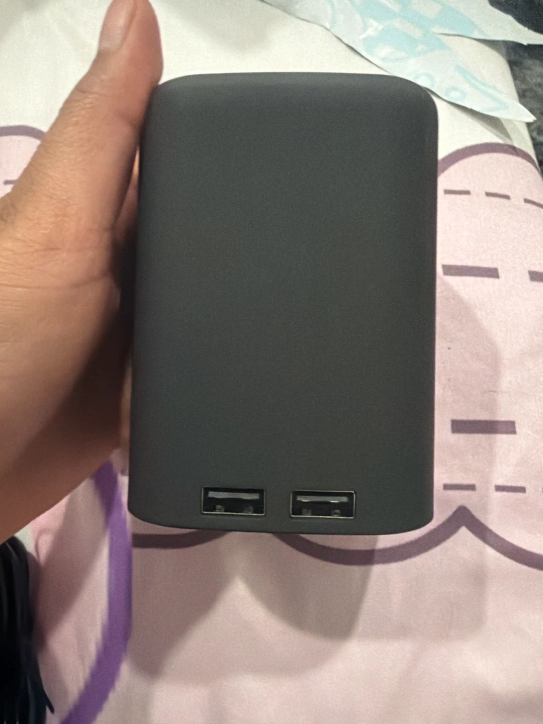 Spectech T1045 Dual USB Power Bank - photo 2