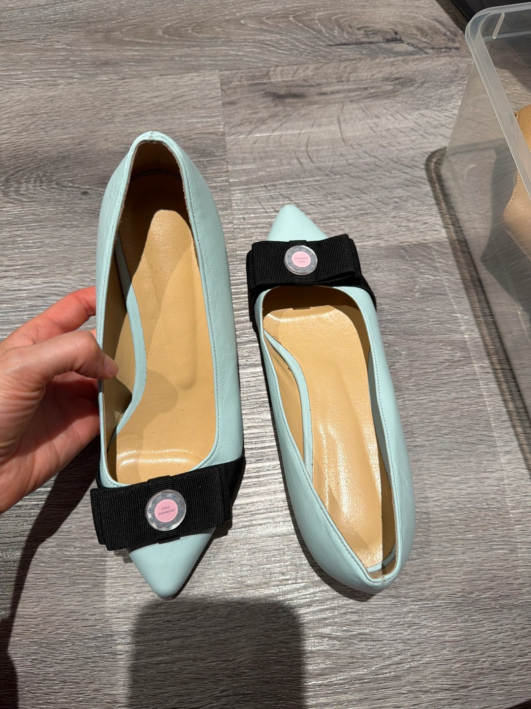 Chic Sophistic Pointed Flats