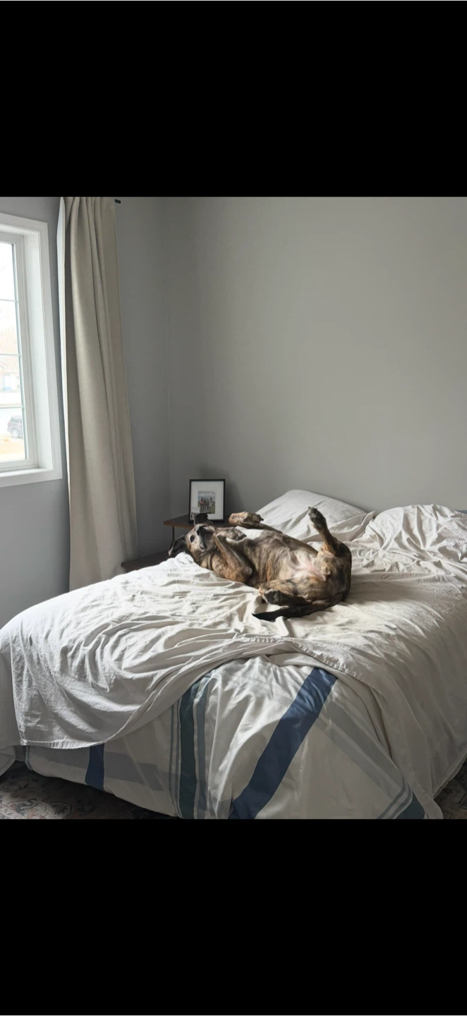 IKEA Haugesund Mattress - photo 3