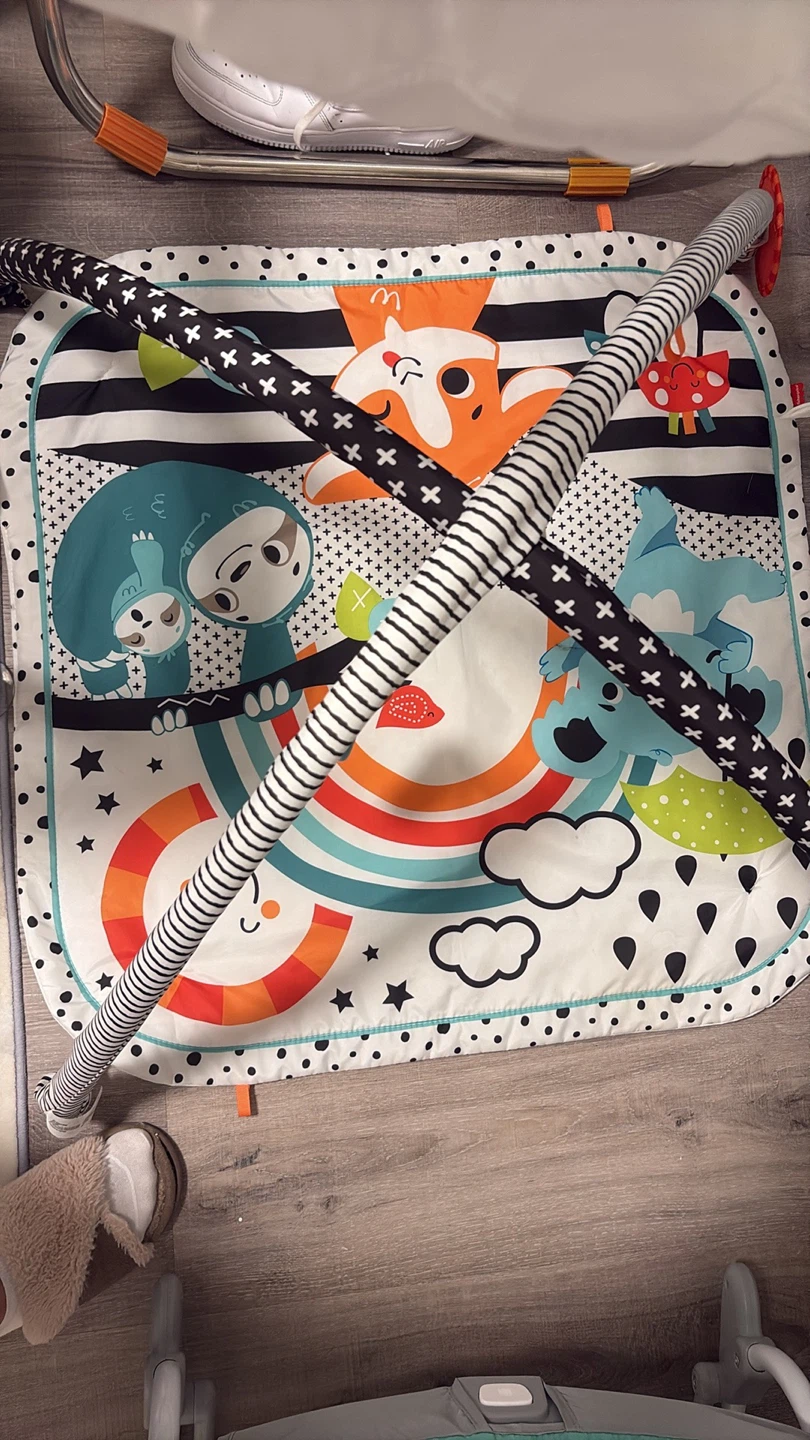Fisher-Price Baby Activity Gym