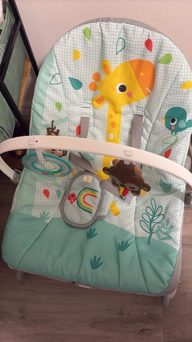 Bright Starts baby bouncer