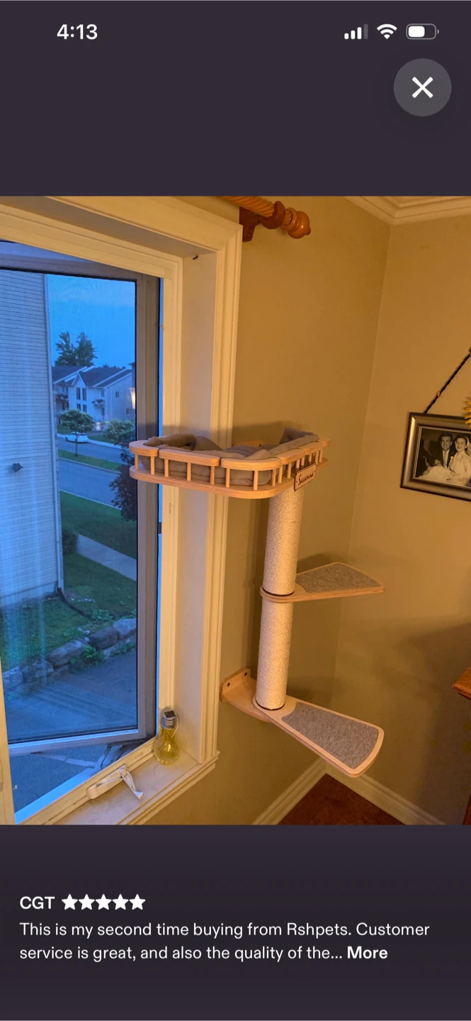 Window Perch and Shelf for Cats