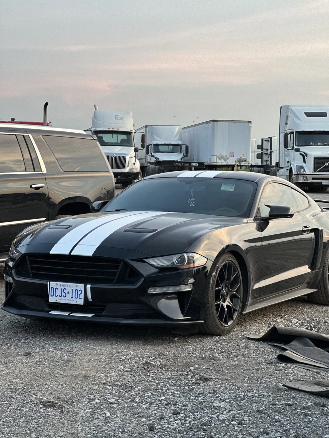 Ford Mustang Coupe Black with White Stripes