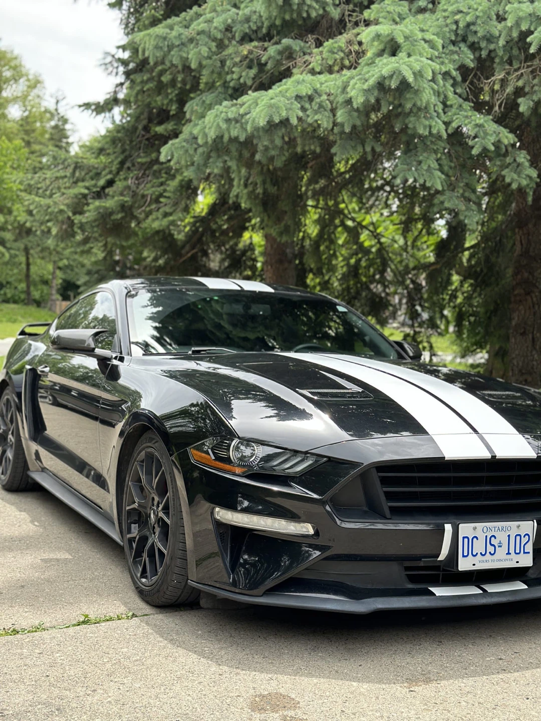 Ford Mustang Coupe Black with White Stripes - photo 3
