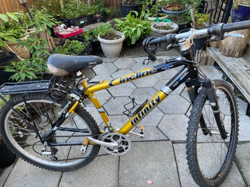 FREE Infinity Incline Mountain Bike 21 Speed
