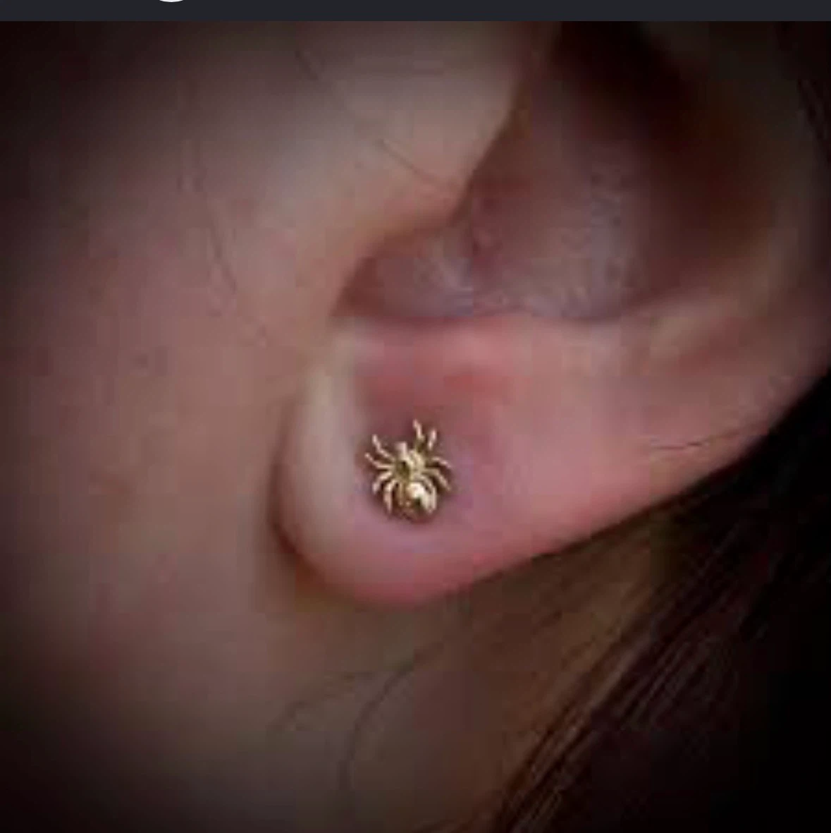 Gold-tone spider stud earrings - photo 4