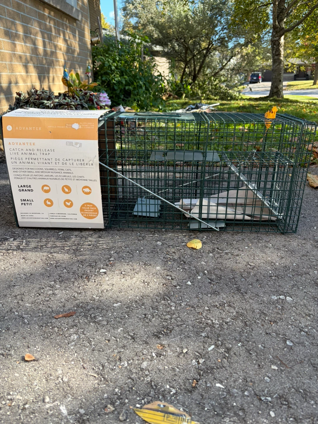 Advantek Live Animal Trap 2-Pack