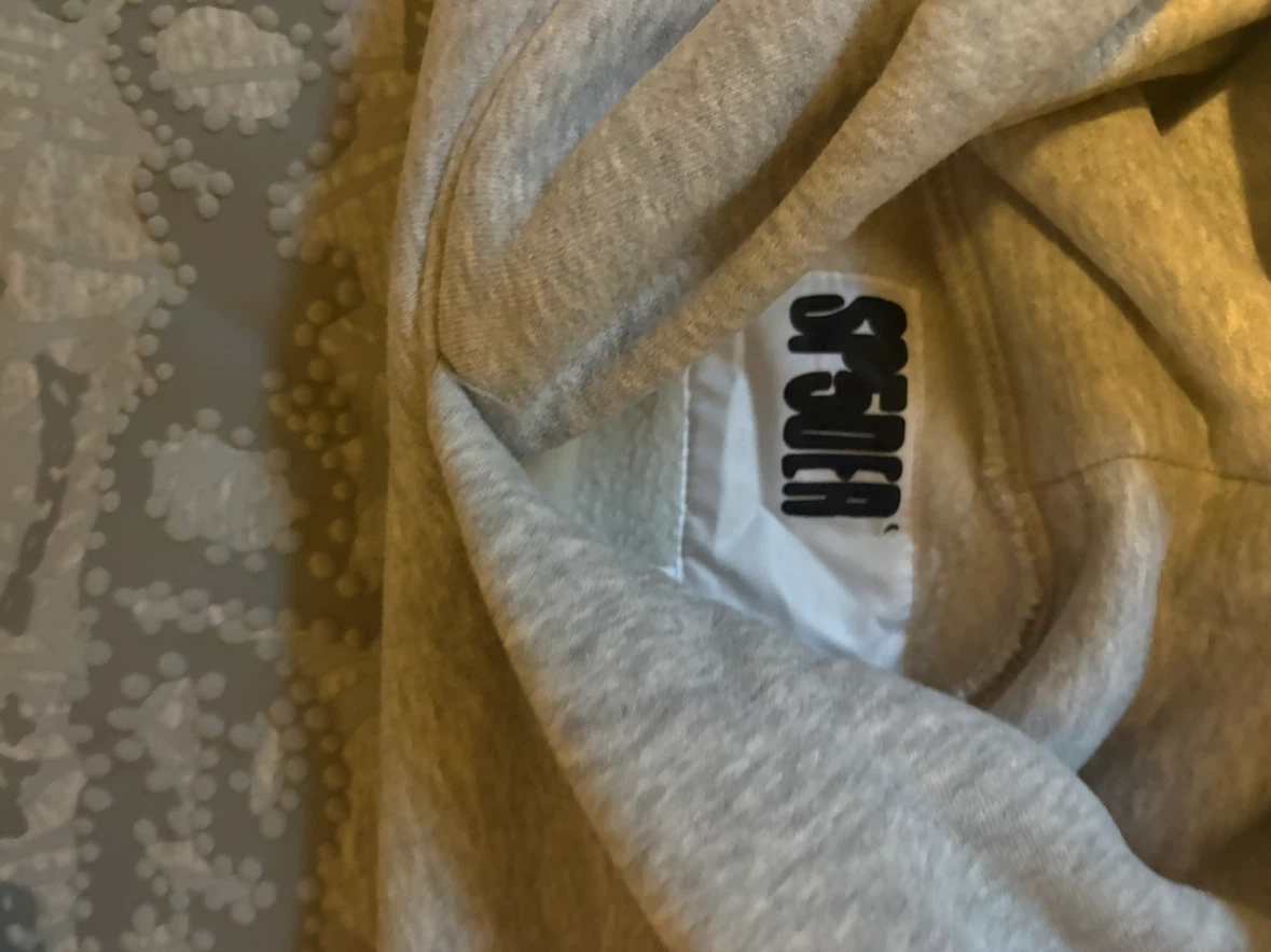 SP5DER Grey Hoodie - photo 2