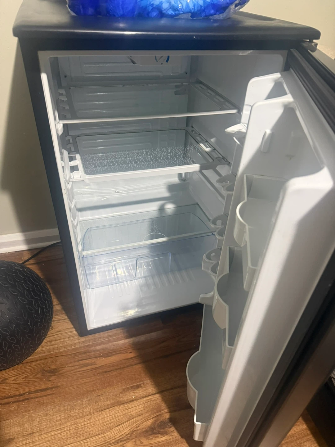 Danby Designer Mini Fridge
