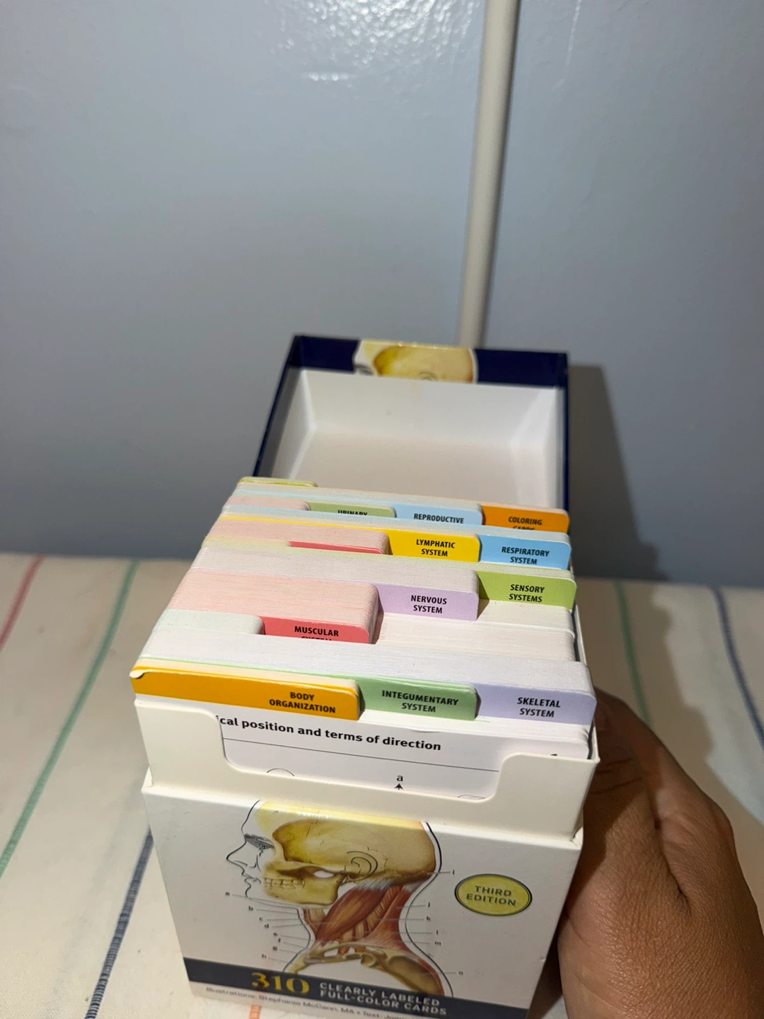 Kaplan Medical Anatomy Flashcards Third Edition - photo 2