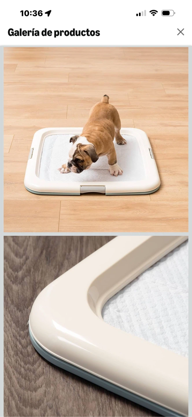 Dog Pee Pad Holder Tray