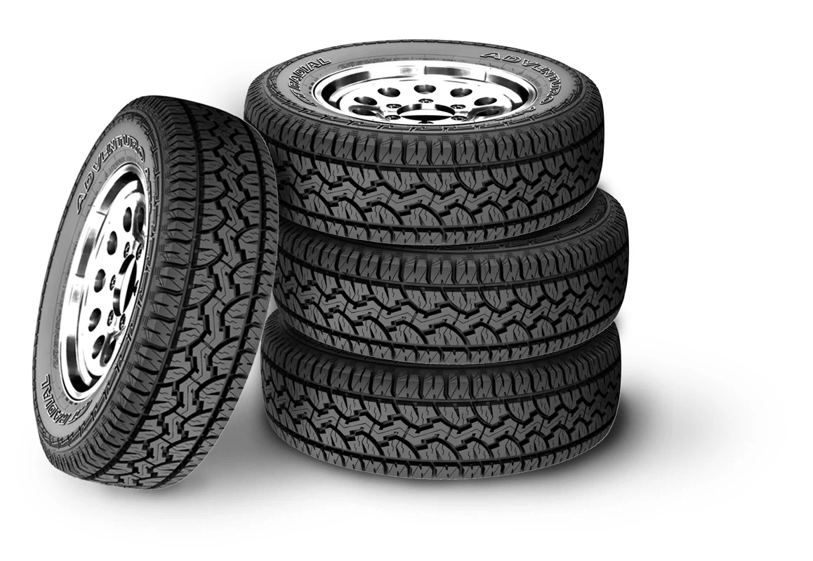 Winter tires 235/55R20