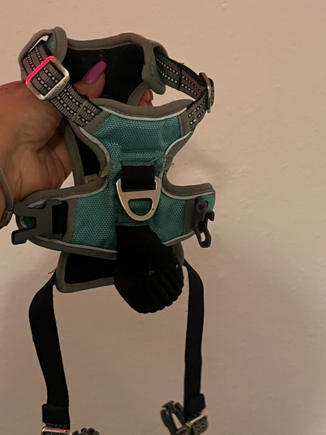 Vavopaw Teal Dog Harness