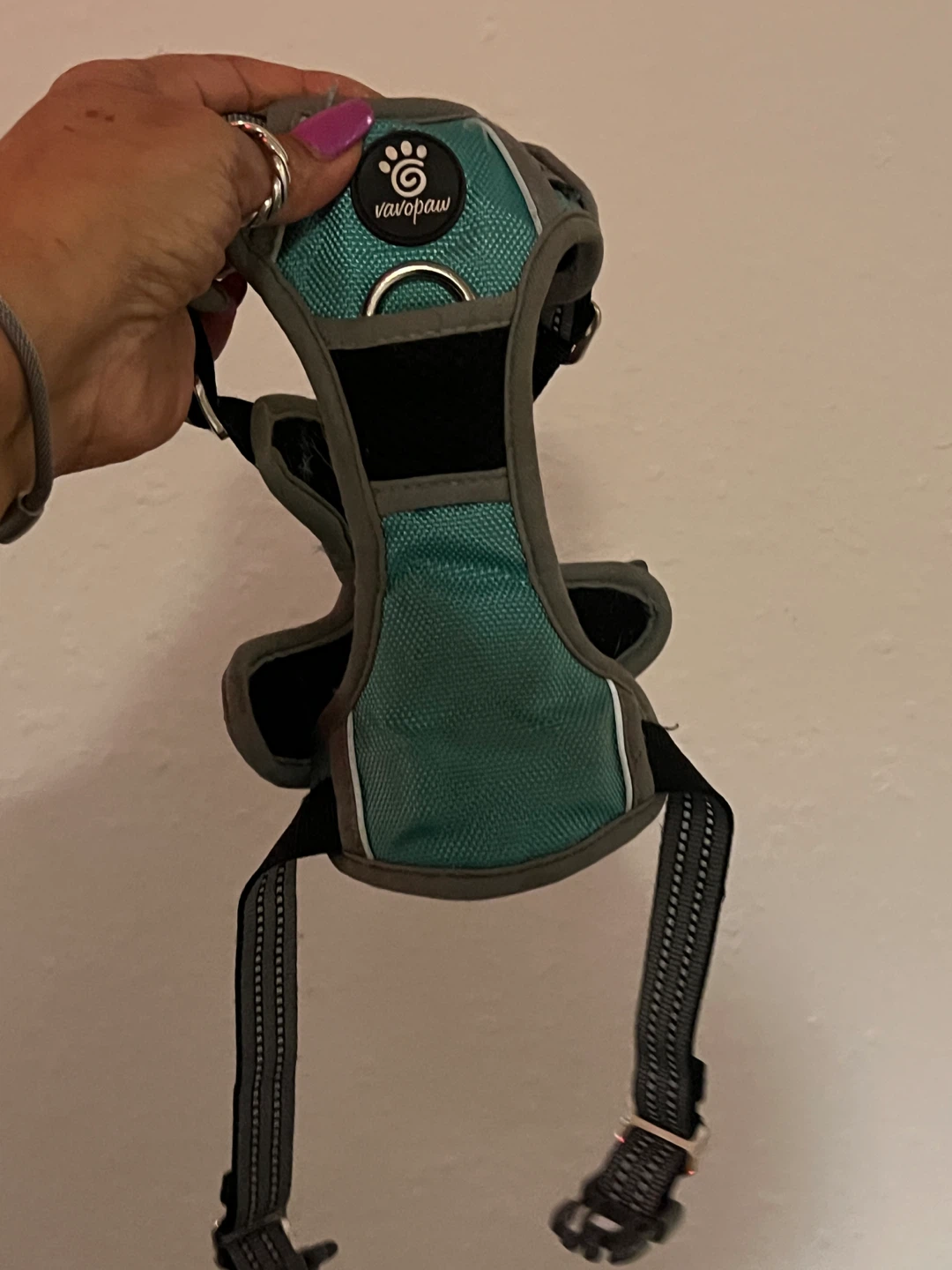 Vavopaw Teal Dog Harness - photo 2