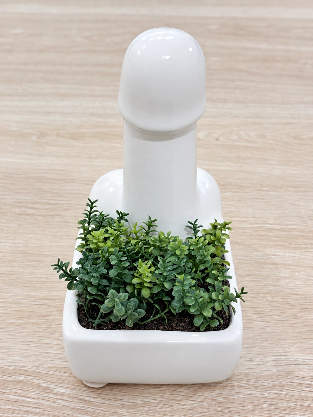 Novelty Ceramic Planter Decoration