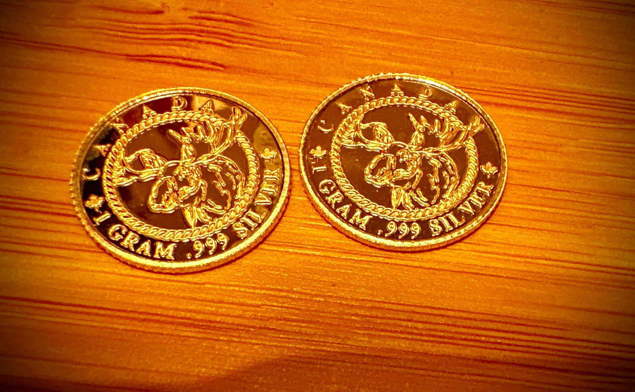 Two 1 Gram .999 Silver Canada Rounds - photo 2