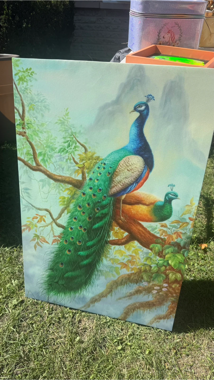 Peacock Canvas Wall Art