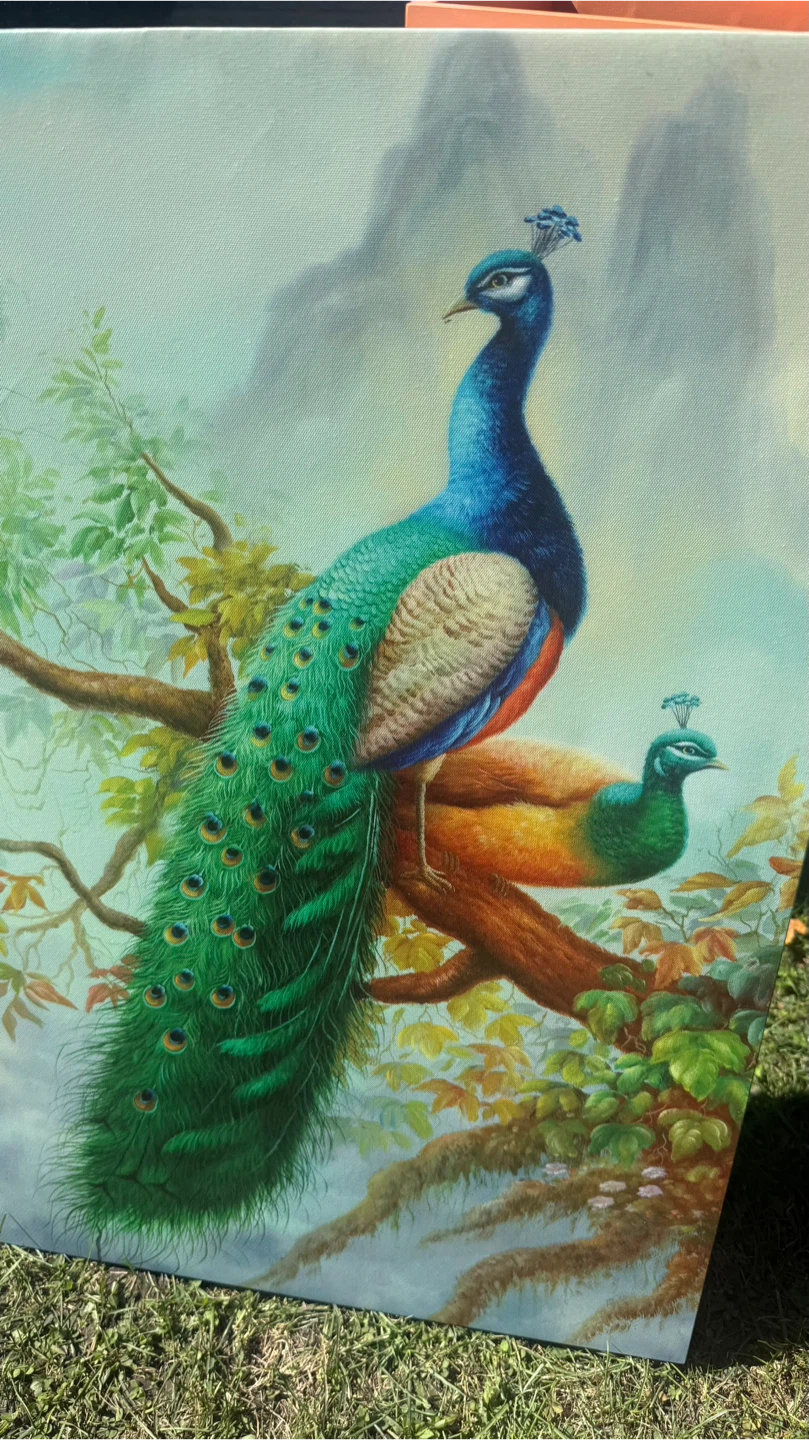 Peacock Canvas Wall Art - photo 2