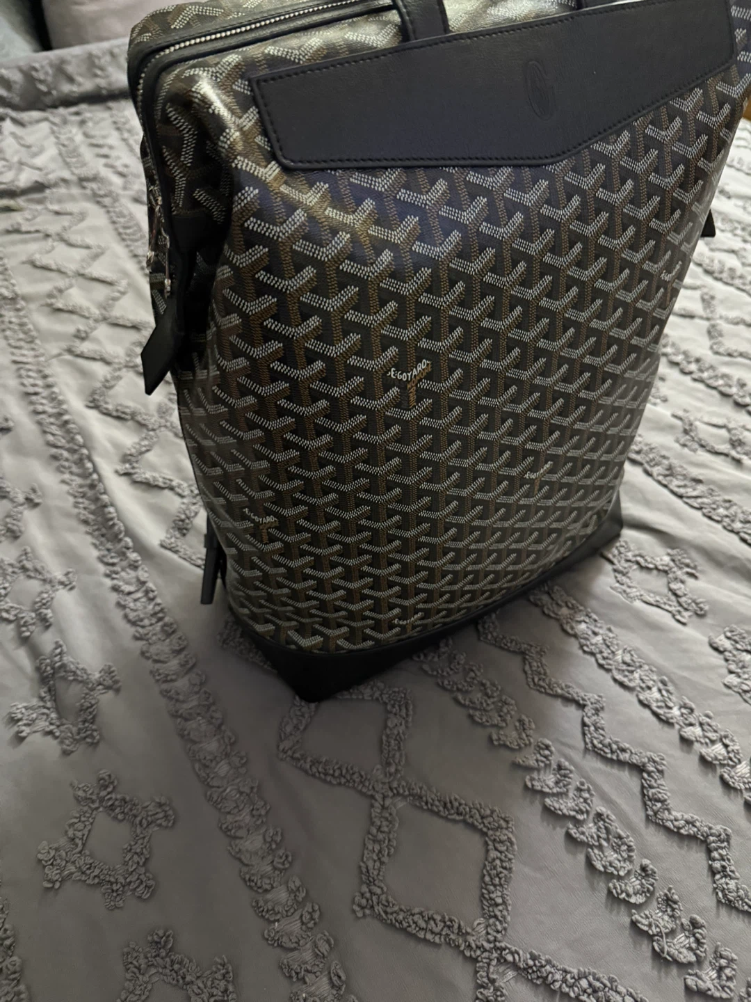 Goyard Cisalpin Backpack - photo 2