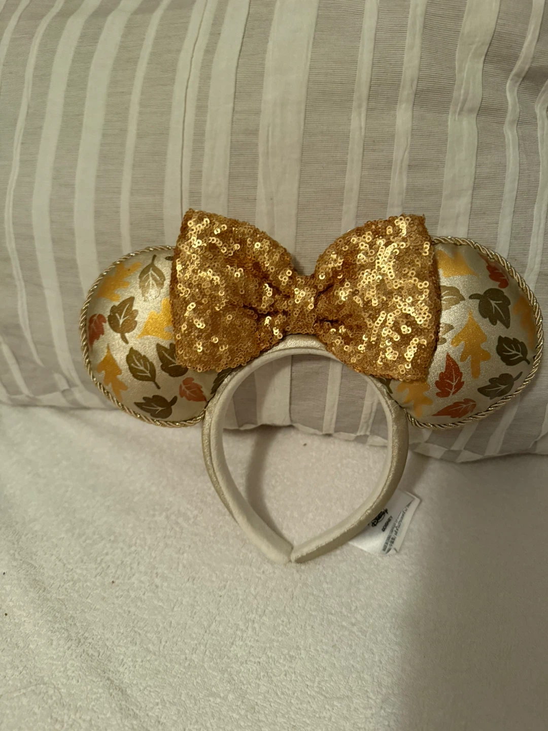 Disney fall ears authentic adult