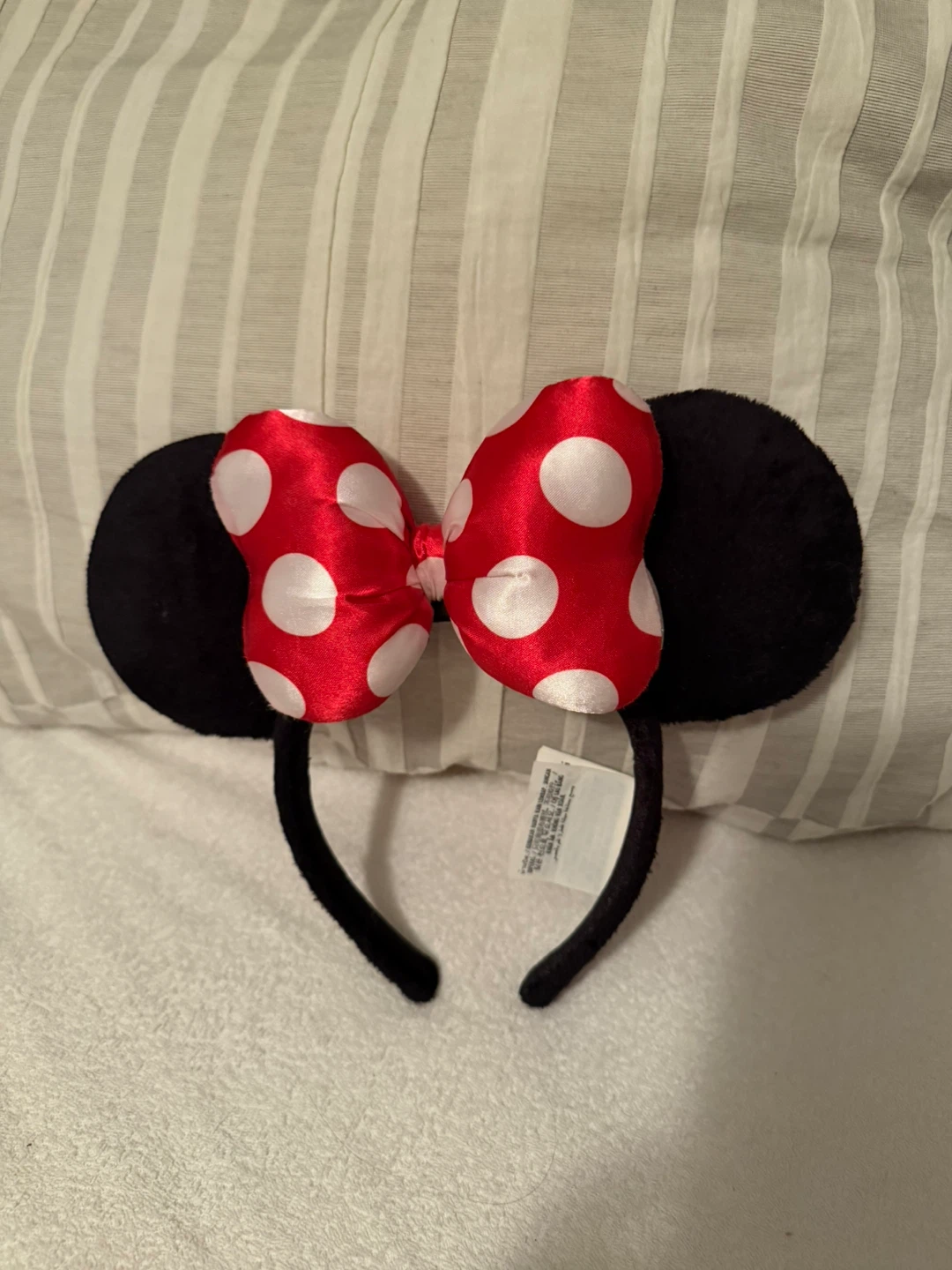 Disney ears authentic adult