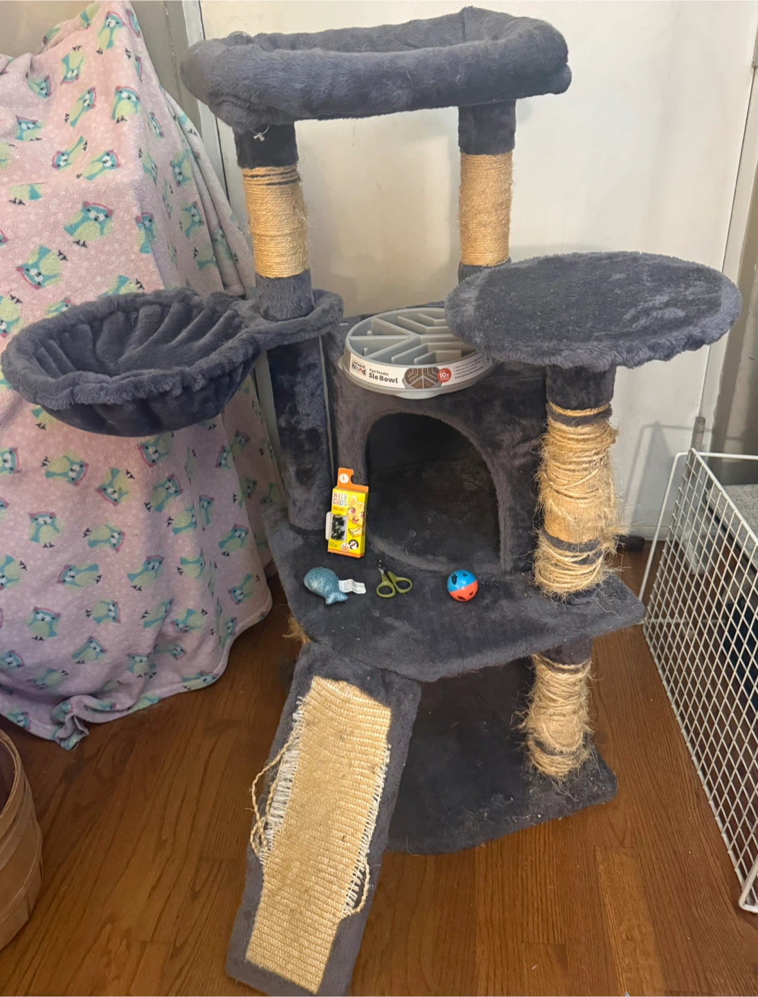 Cat tree and toys