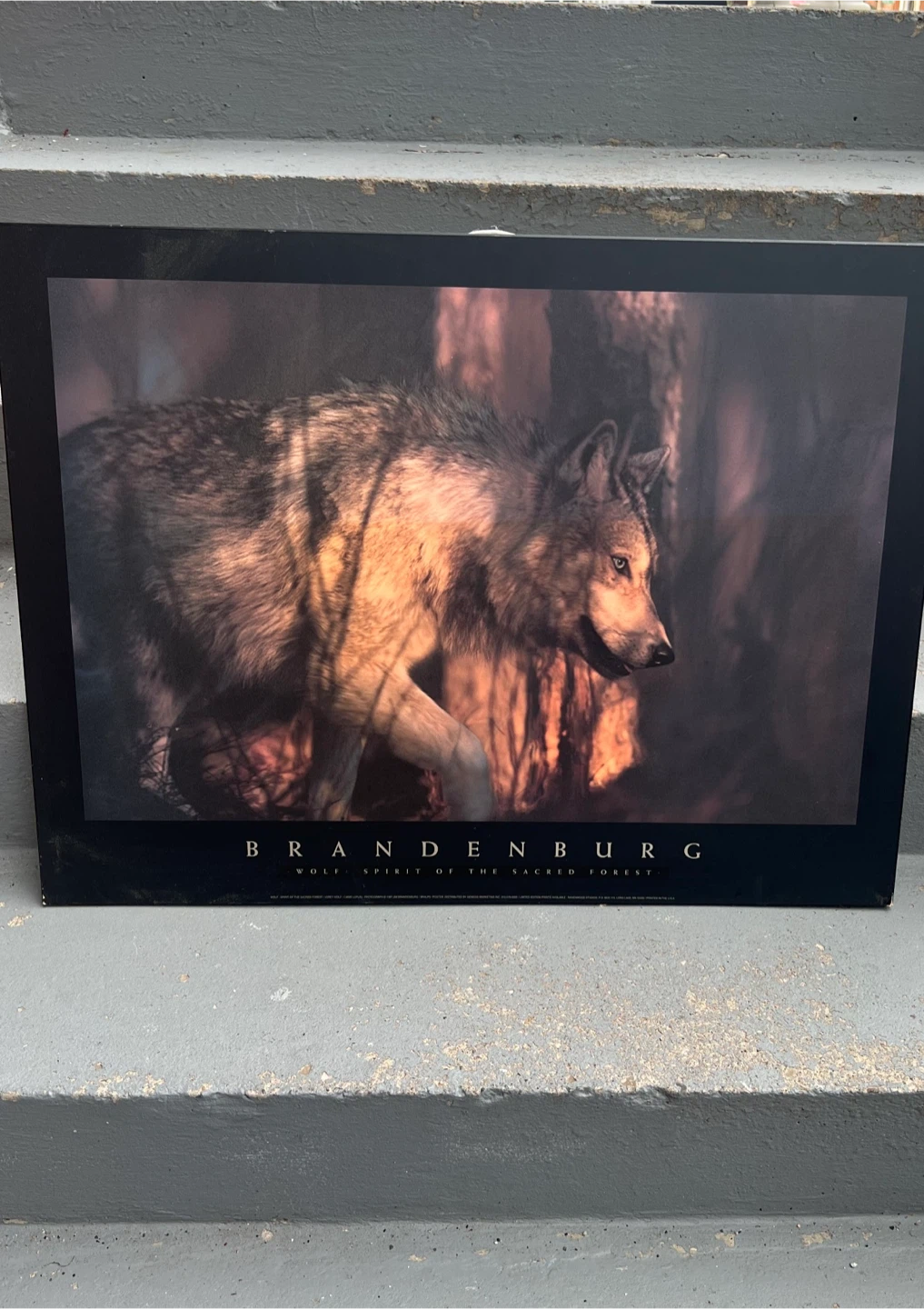 Brandenburg Wolf Spirit painting all wooden