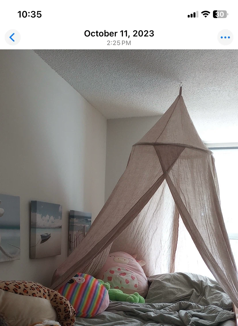 Simons Maison Sheer Bed Canopy - photo 2