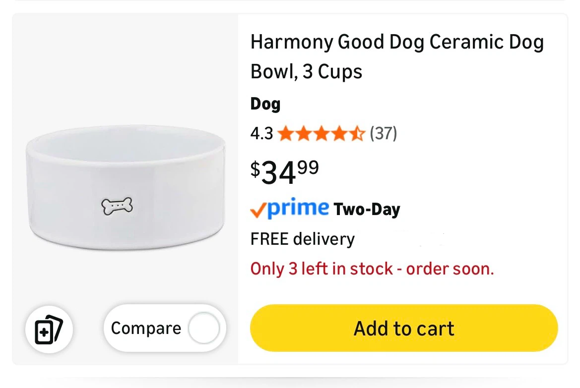 Harmony “Good Dog” 3 Cup Ceramic Dog Bowl - photo 4