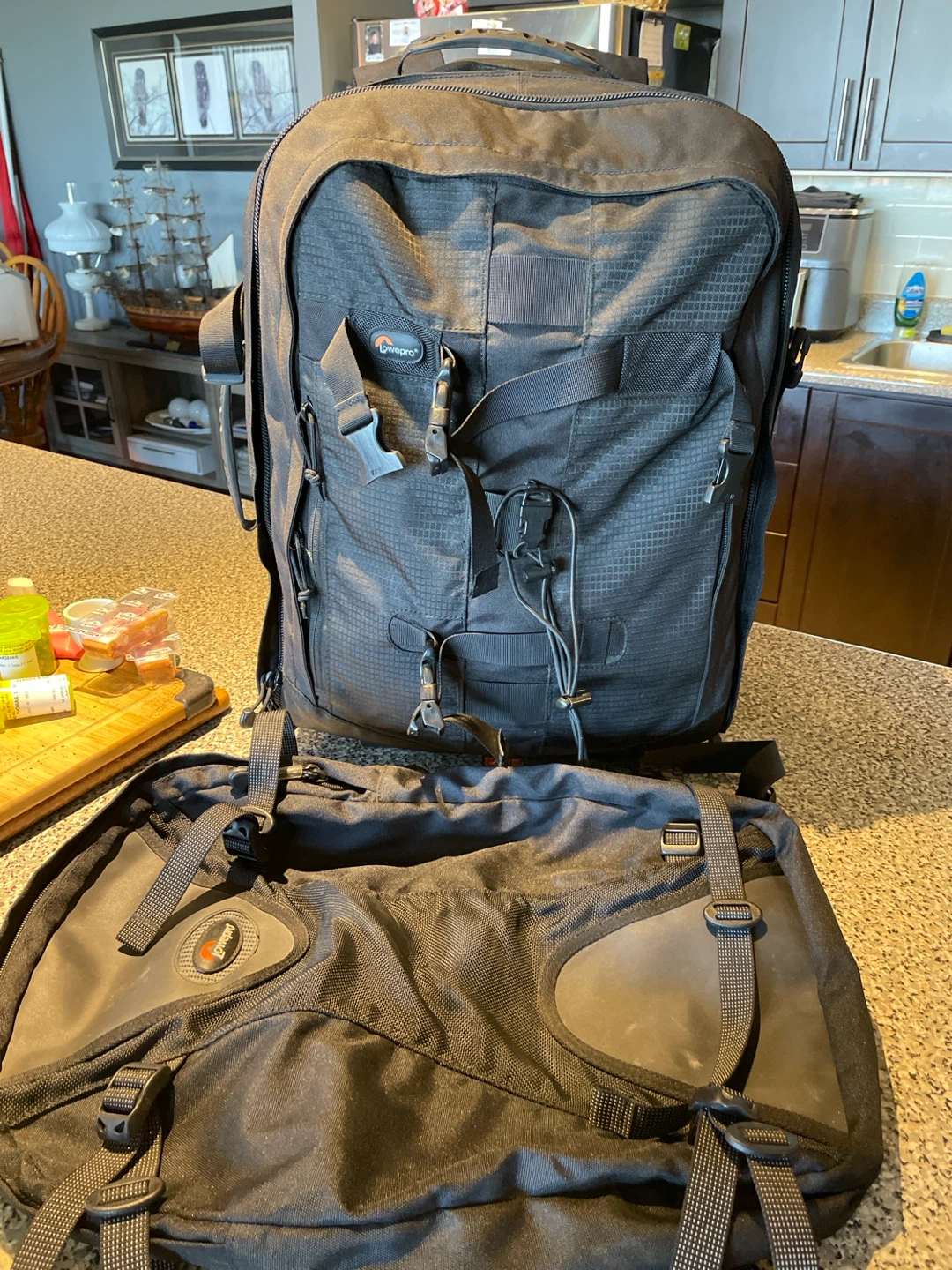 Lowepro Rolling Camera Backpack