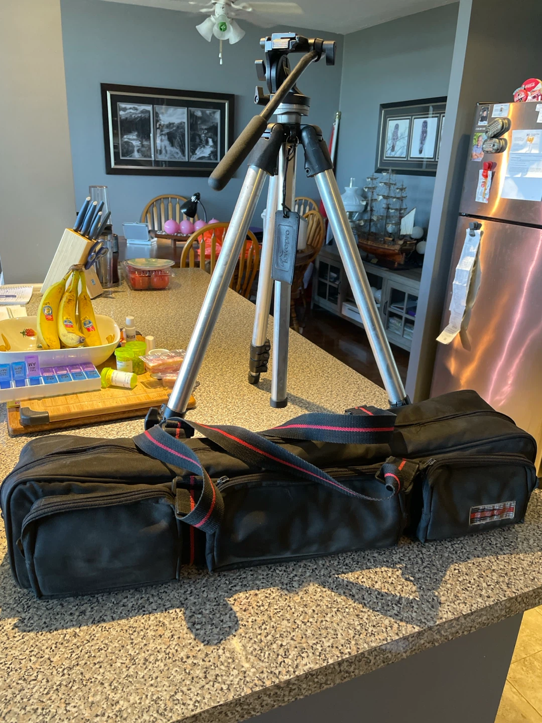 Lowepro Tripod with Carrying Case