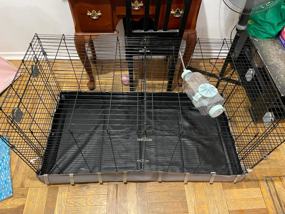 Huge Guinea Pig Cage
