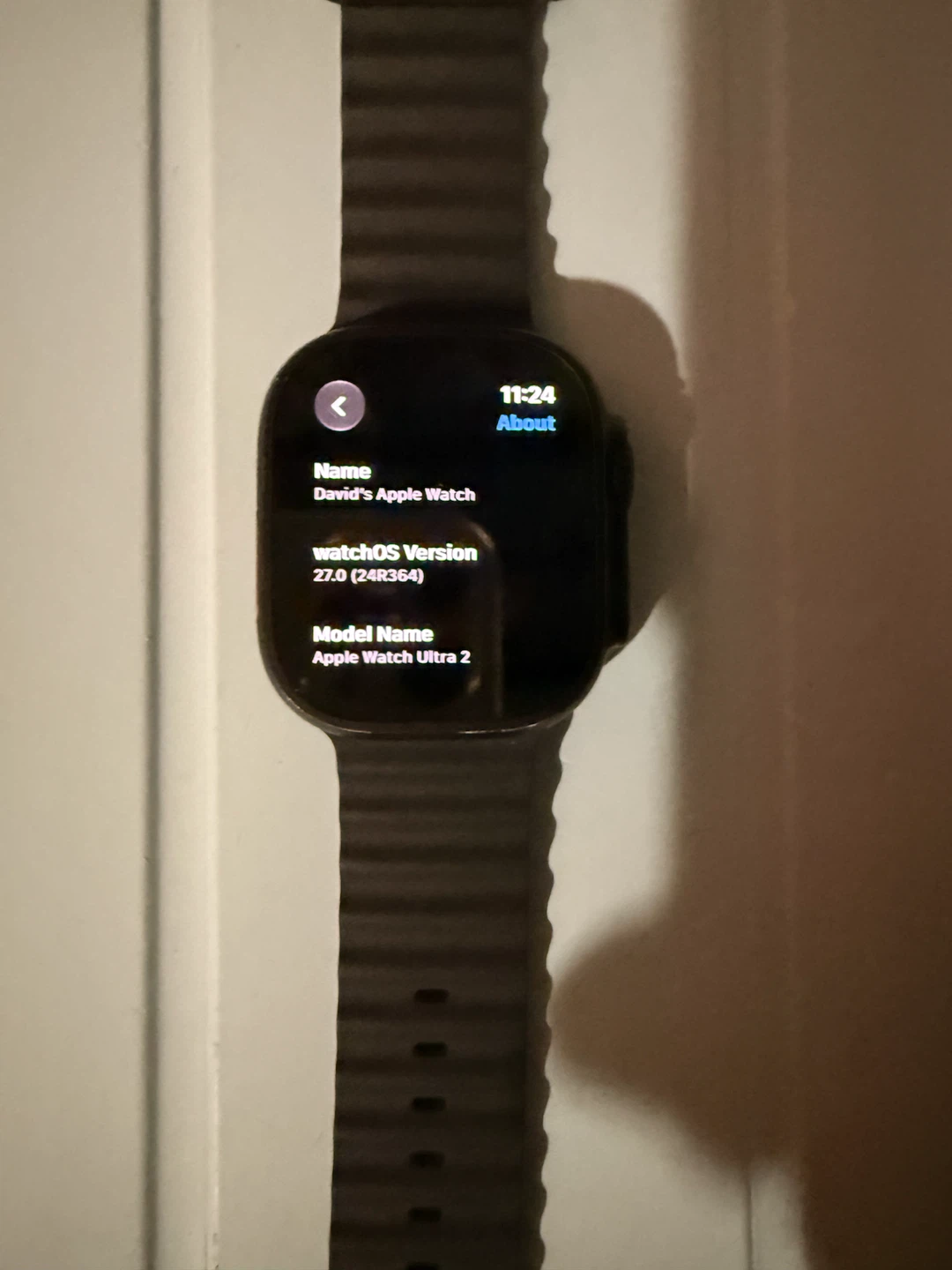 Apple Watch Ultra 2