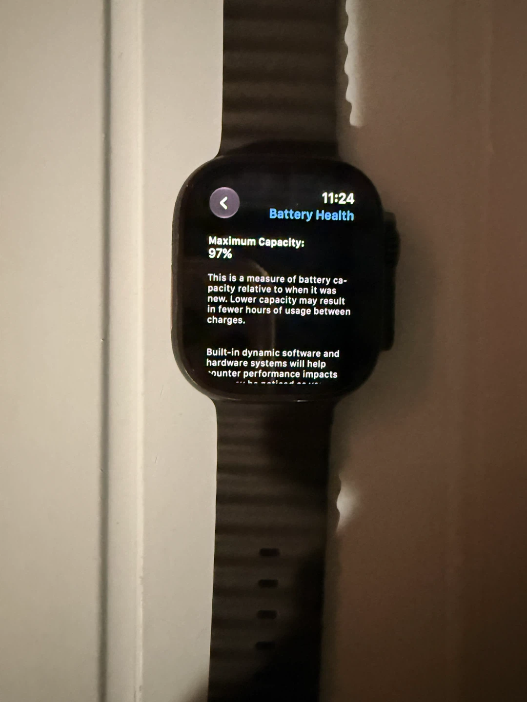 Apple Watch Ultra 2 - photo 2