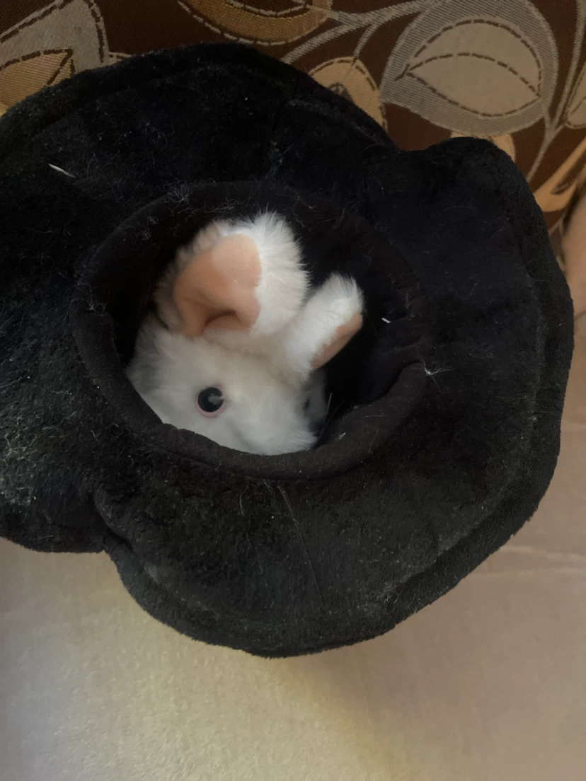 Folkmanis Rabbit in Hat Puppet - photo 5