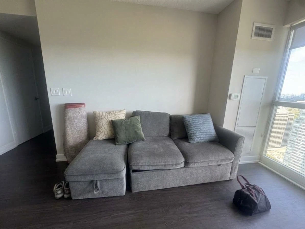 Grey Sectional Sofa with Pull-Out Bed